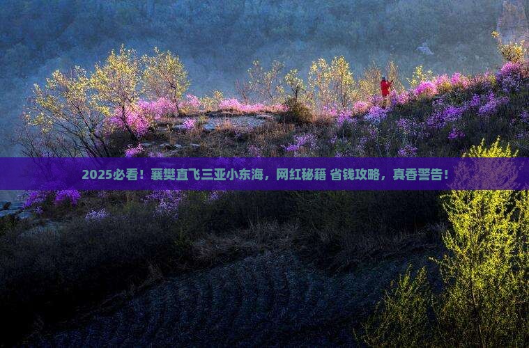 襄樊去三亚小东海旅游网红地点