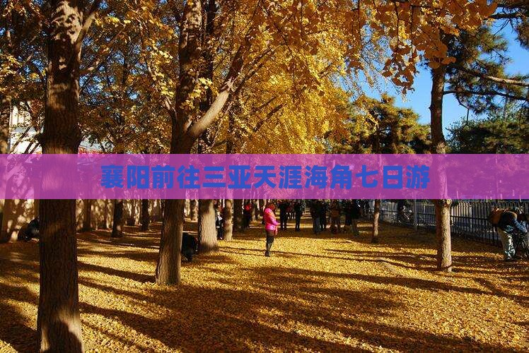 襄阳前往三亚天涯海角七日游