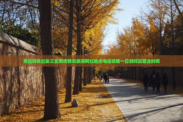 克拉玛依出发三亚南湾猴岛旅游网红地点