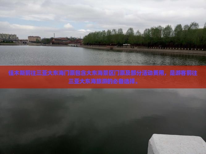 佳木斯前往三亚大东海门票