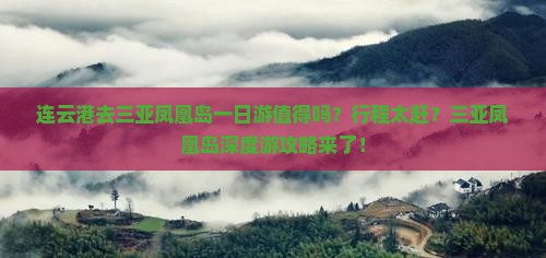 连云港去三亚凤凰岛一日游