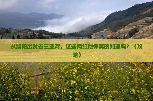 濮阳前往三亚三亚湾旅游网红地点