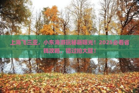上海去三亚小东海必玩地