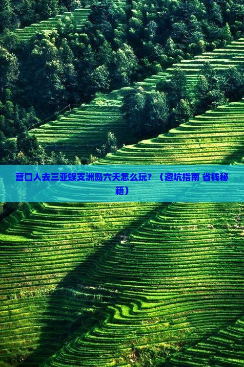 营口去三亚蜈支洲岛六日游