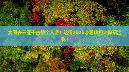 大同去三亚千古情个人游