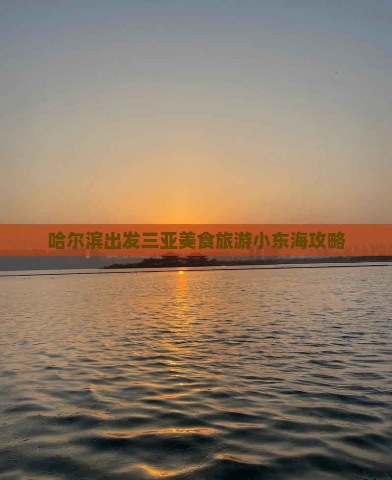 哈尔滨出发三亚小东海旅游小吃