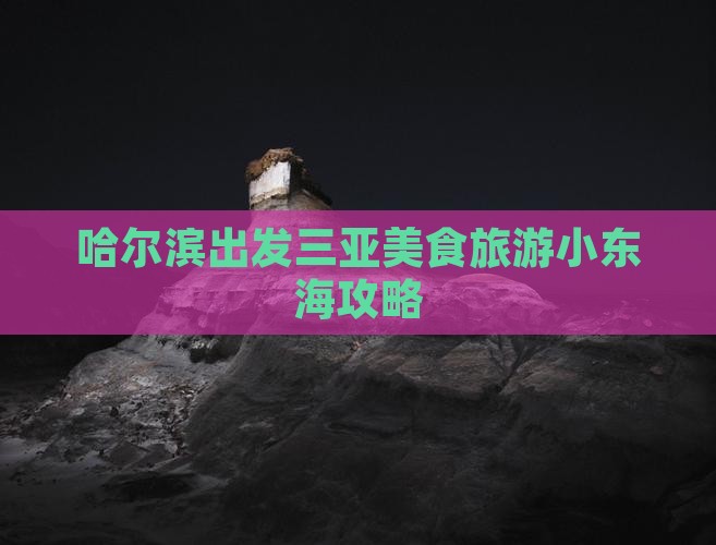 哈尔滨出发三亚小东海旅游小吃