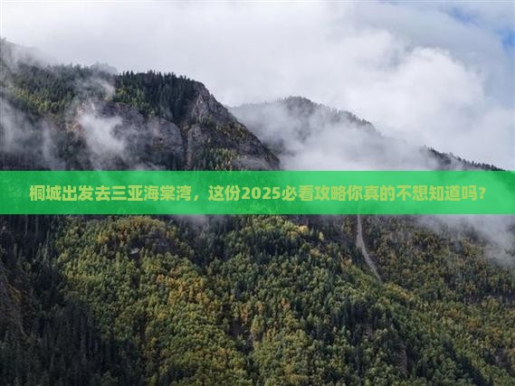 桐城前往三亚海棠湾二日游
