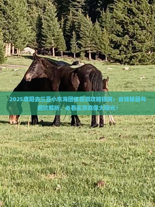 濮阳去三亚小东海团体旅游