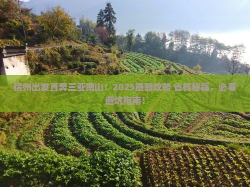 宿州出发三亚南山文化旅游区旅游打卡点