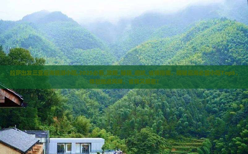 拉萨出发三亚后海旅游小吃