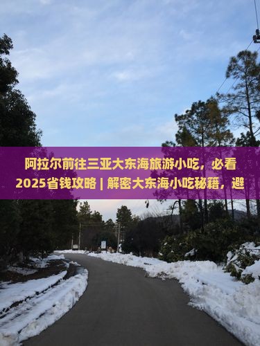 阿拉尔前往三亚大东海旅游小吃