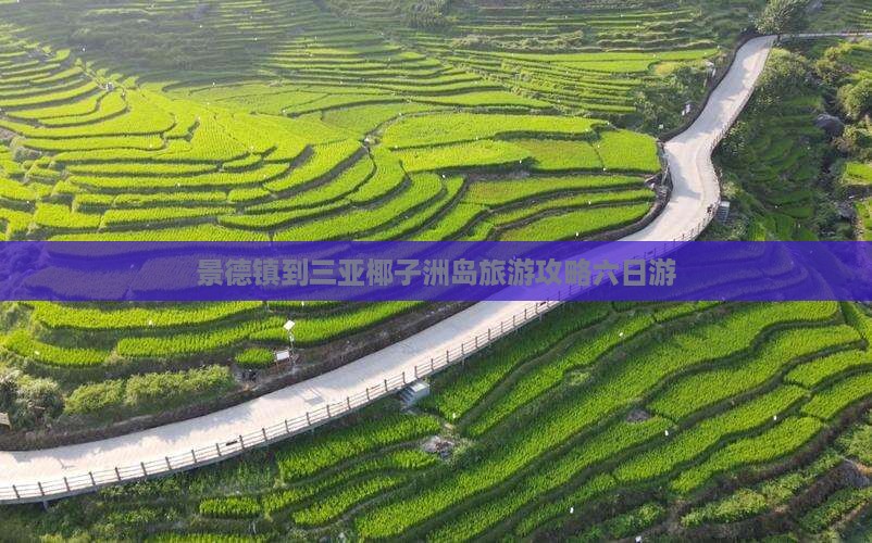 景德镇前往三亚椰子洲岛六日游