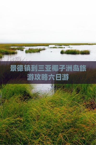景德镇前往三亚椰子洲岛六日游