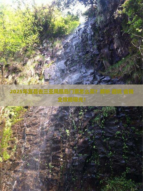 宜昌去三亚凤凰岛门票