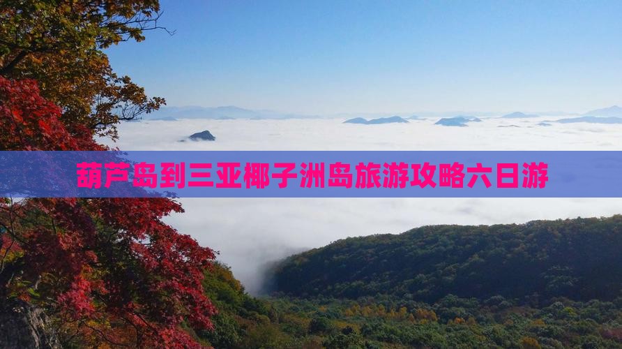 葫芦岛出发三亚椰子洲岛六日游