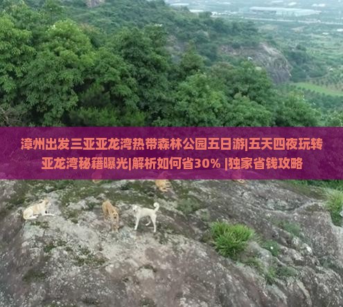 漳州出发三亚亚龙湾热带森林公园五日游