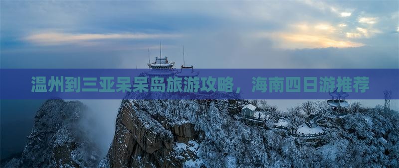 温州出发三亚呆呆岛四日游