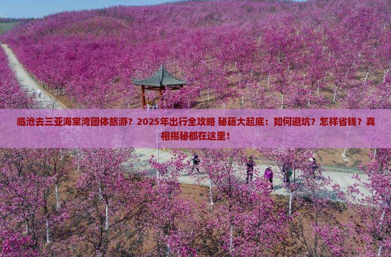 临沧去三亚海棠湾团体旅游