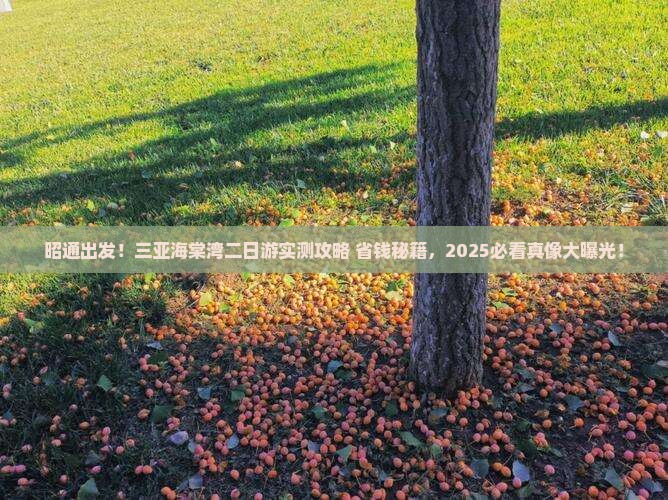 昭通前往三亚海棠湾二日游