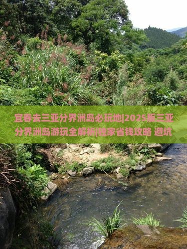 宜春去三亚分界洲岛必玩地