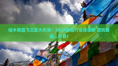 佳木斯去三亚大东海自由团