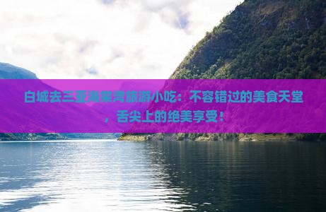 白城去三亚海棠湾旅游小吃