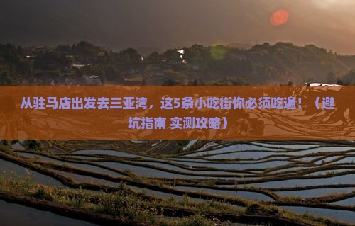 驻马店出发三亚三亚湾旅游小吃
