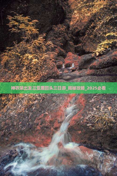 神农架出发三亚鹿回头三日游