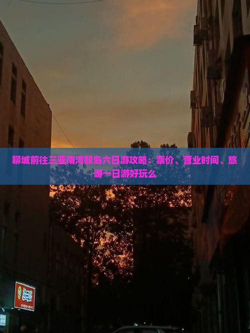 聊城前往三亚南湾猴岛六日游