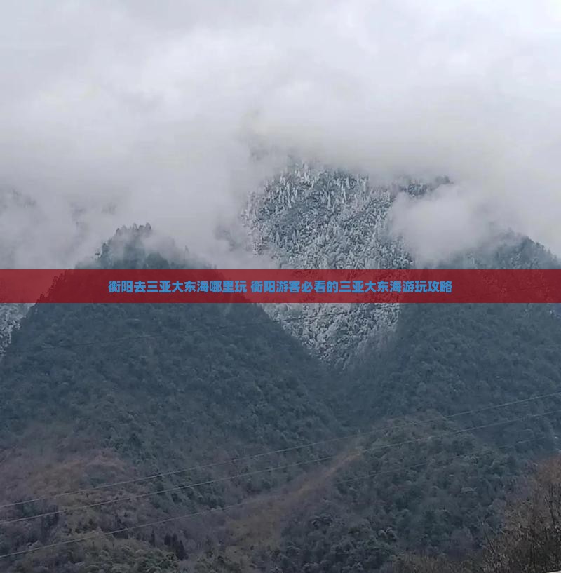 衡阳去三亚大东海哪里玩