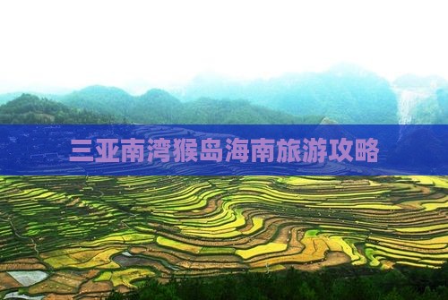 保定去三亚南湾猴岛攻略