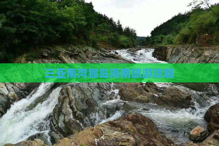 保定去三亚南湾猴岛攻略