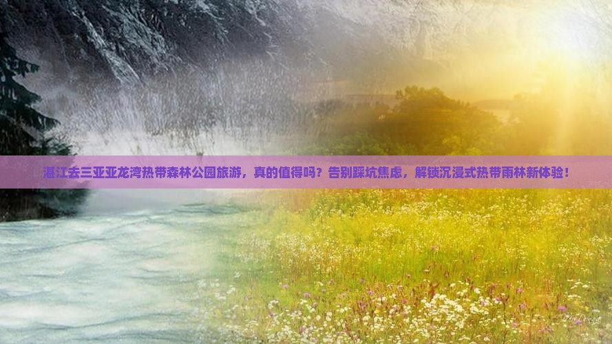 湛江去三亚亚龙湾热带森林公园旅游