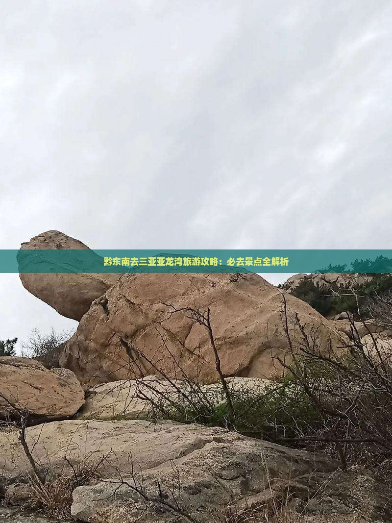 黔东南去三亚亚龙湾旅行社