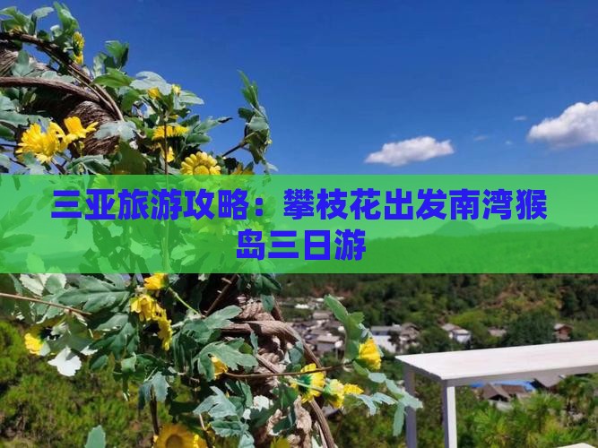 攀枝花出发三亚南湾猴岛三日游