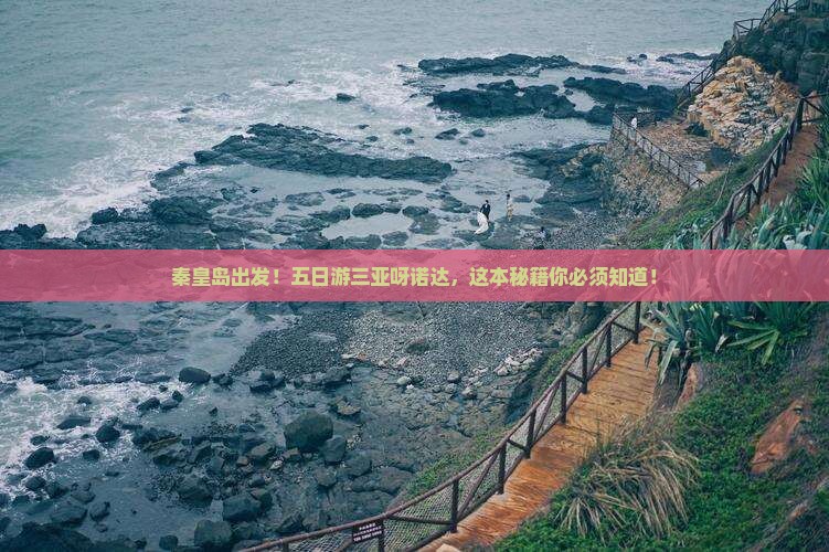 秦皇岛去三亚呀诺达景区五日游