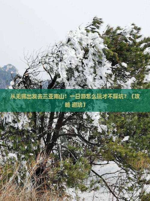 无锡前往三亚南山文化旅游区一日游