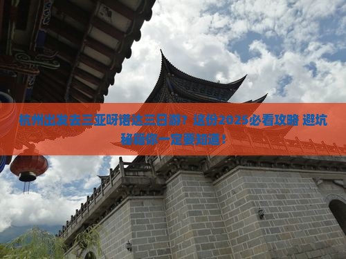 杭州去三亚呀诺达景区三日游