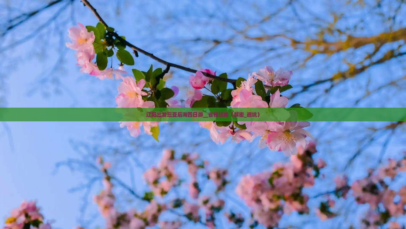 辽阳出发三亚后海四日游