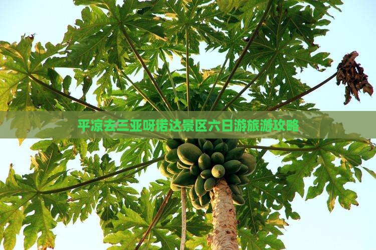 平凉去三亚呀诺达景区六日游