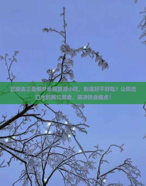 宣城去三亚椰梦长廊旅游小吃
