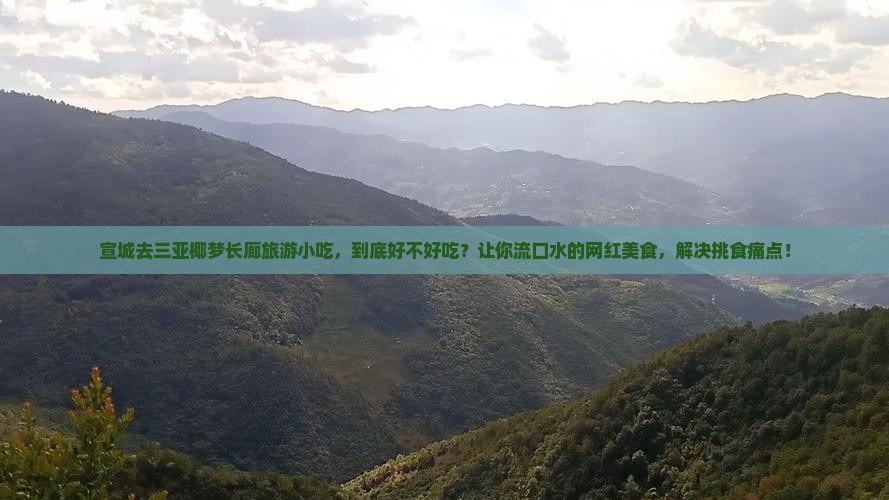 宣城去三亚椰梦长廊旅游小吃