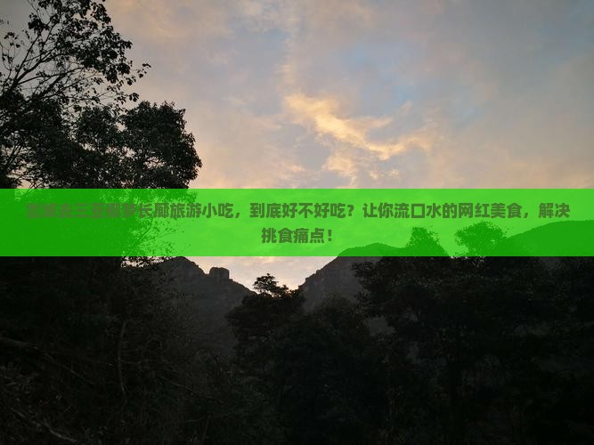 宣城去三亚椰梦长廊旅游小吃