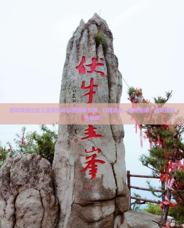 西双版纳出发三亚凤凰岭公园团体旅游 西双版纳出发三亚凤凰岭公园团体旅游