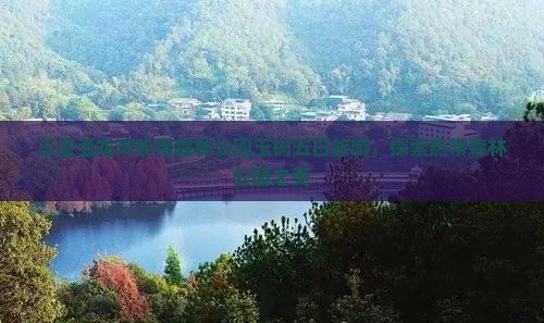 玉树前往三亚亚龙湾热带森林公园五日游