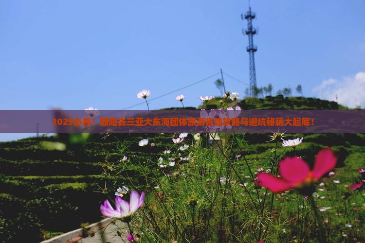 朝阳去三亚大东海团体旅游