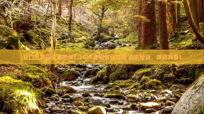 营口出发三亚鹿回头旅行社
