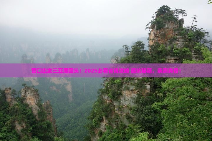 营口出发三亚鹿回头旅行社