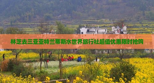 林芝去三亚亚特兰蒂斯水世界旅行社